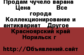 Продам чучело варана. › Цена ­ 15 000 - Все города Коллекционирование и антиквариат » Другое   . Красноярский край,Норильск г.